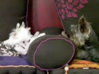 1er jour d' EPSILON à la maison