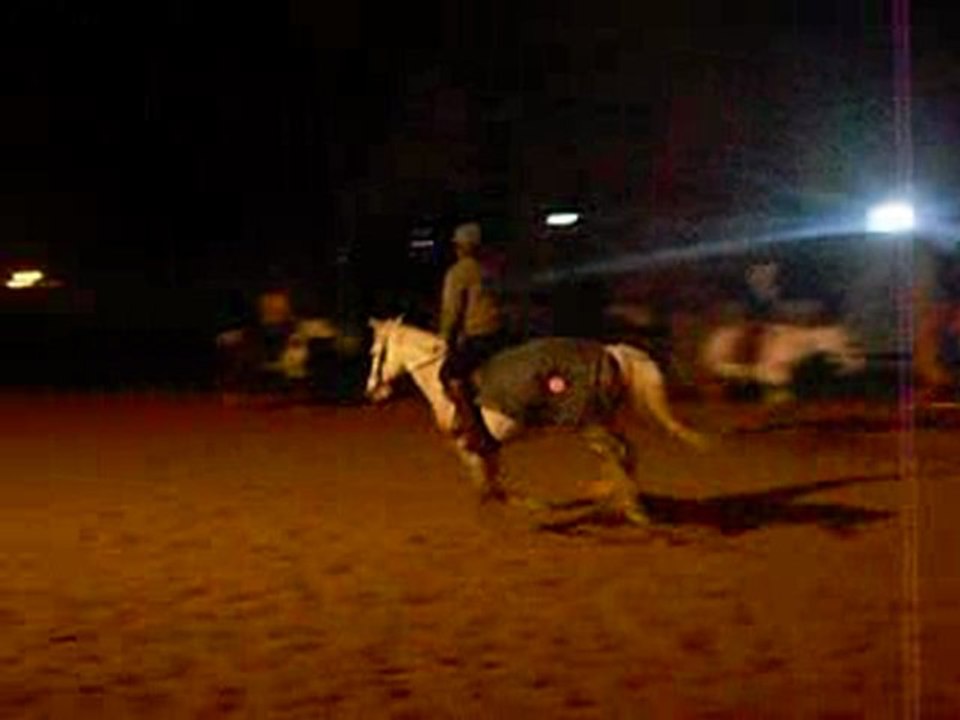 poney qui saute