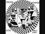 pktre sound 6tm mix tekno electro tribe  by DJ Cript#