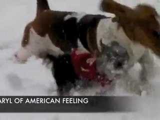 Notre carte de voeux 2009