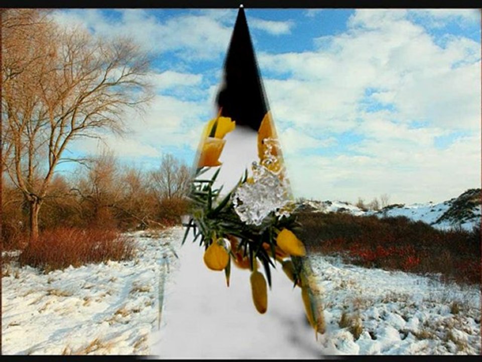 Mes meilleurs voeux pour l'année 2010 a ma famille et amis