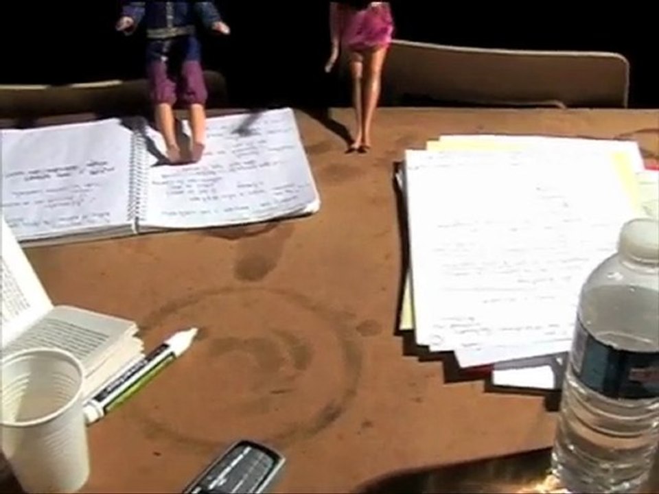 Stage Collège au Cinéma - 17, 18 et 19 novembre 2009 #2/2