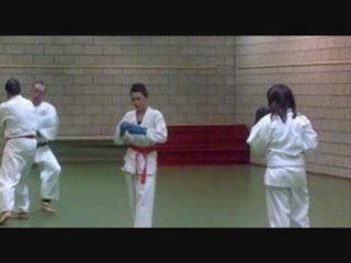 Cools Michel Karaté Kumité Shito Ryu leger