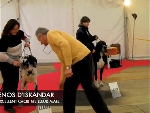 Expo Bourges Fevrier 2009