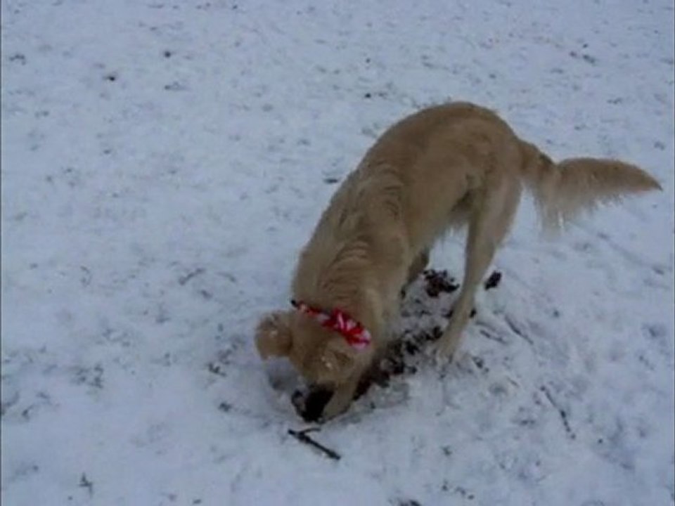 Sammy formt Schneeengel