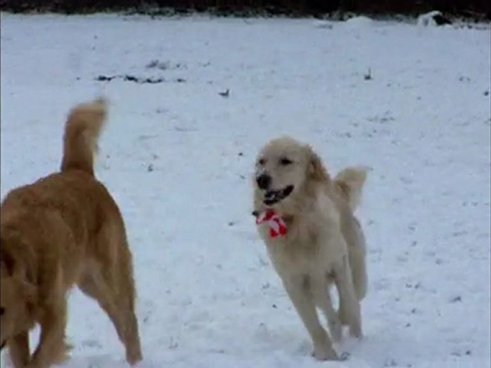 Sammy und Kumpel Ole