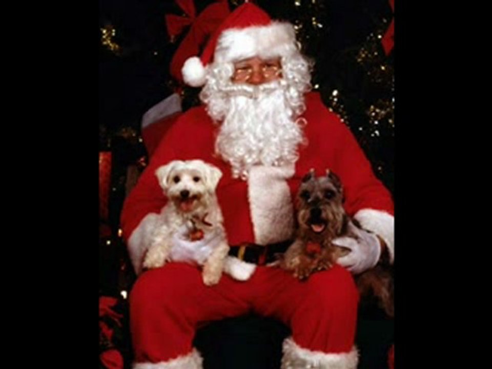 Les sales Majestés - Petit papa noel