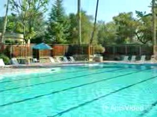 Summerwind Apartments in San Jose, CA-ForRent.com