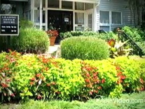 Grove at Trinity Pointe Apartments in Cordova, ...