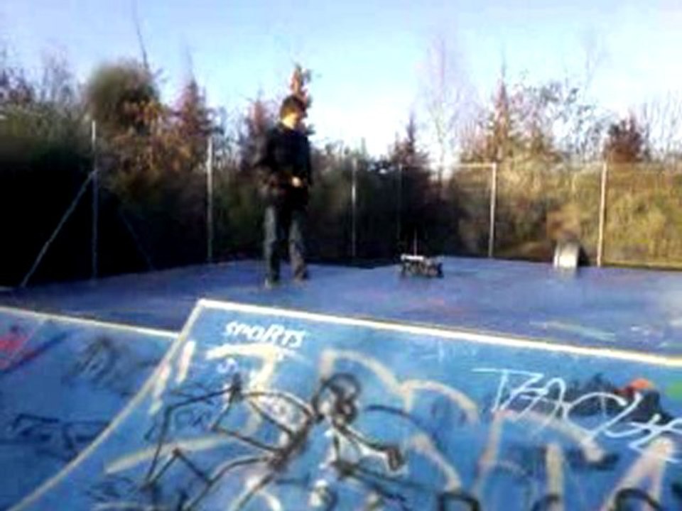 voiture thermique au skate park