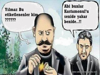 senin yolunda çatalzeytin