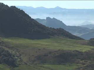 La Cédraie d’Ifrane