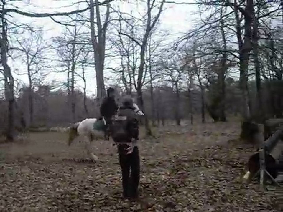 saut