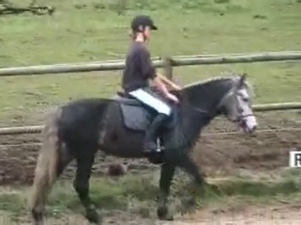 cours 29 DECEMBRE 2009