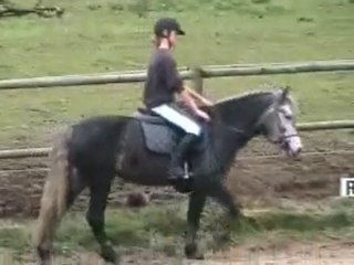 cours 29 DECEMBRE 2009