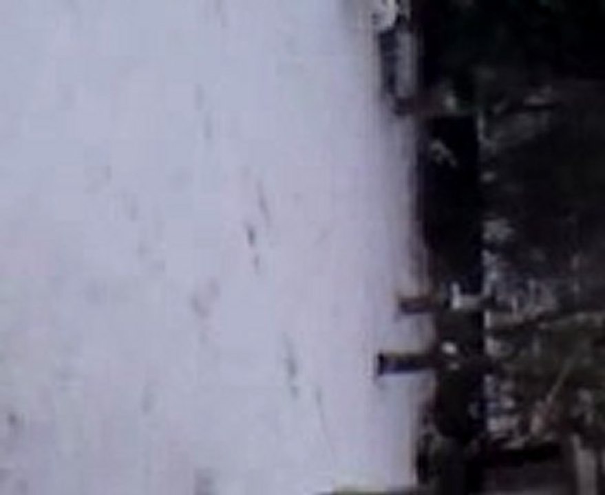 Étiquette Dans La Neige