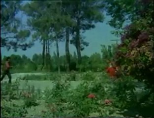 Ferdi Tayfur - Sevda Yelleri (2)