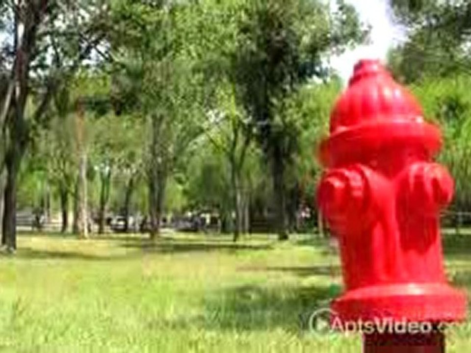 Limestone Oaks Apartments in San Antonio, TX-ForRent.com