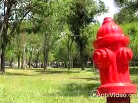 Limestone Oaks Apartments in San Antonio, TX-ForRent.com