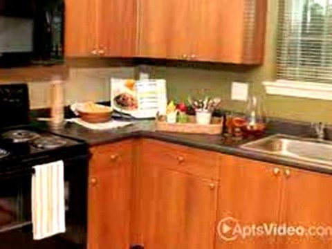 Overlook at Gwinnett Stadium Apartments in Lawrenceville, GA