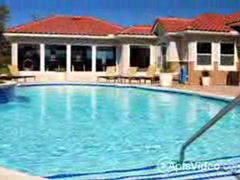 Wyndhaven at Wells Branch Apartments in Austin, TX