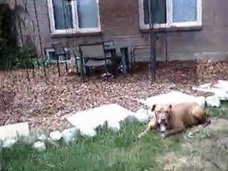 cosmicmac so sadly missed