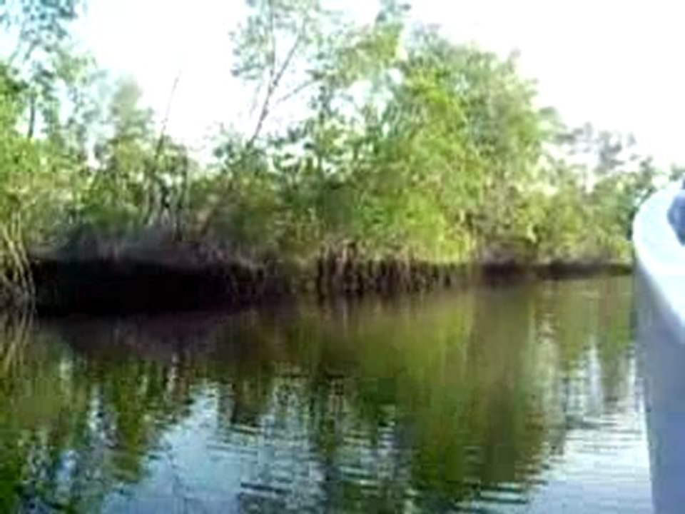Isla Juan Venado