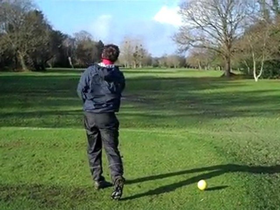 Guillaume New Swing