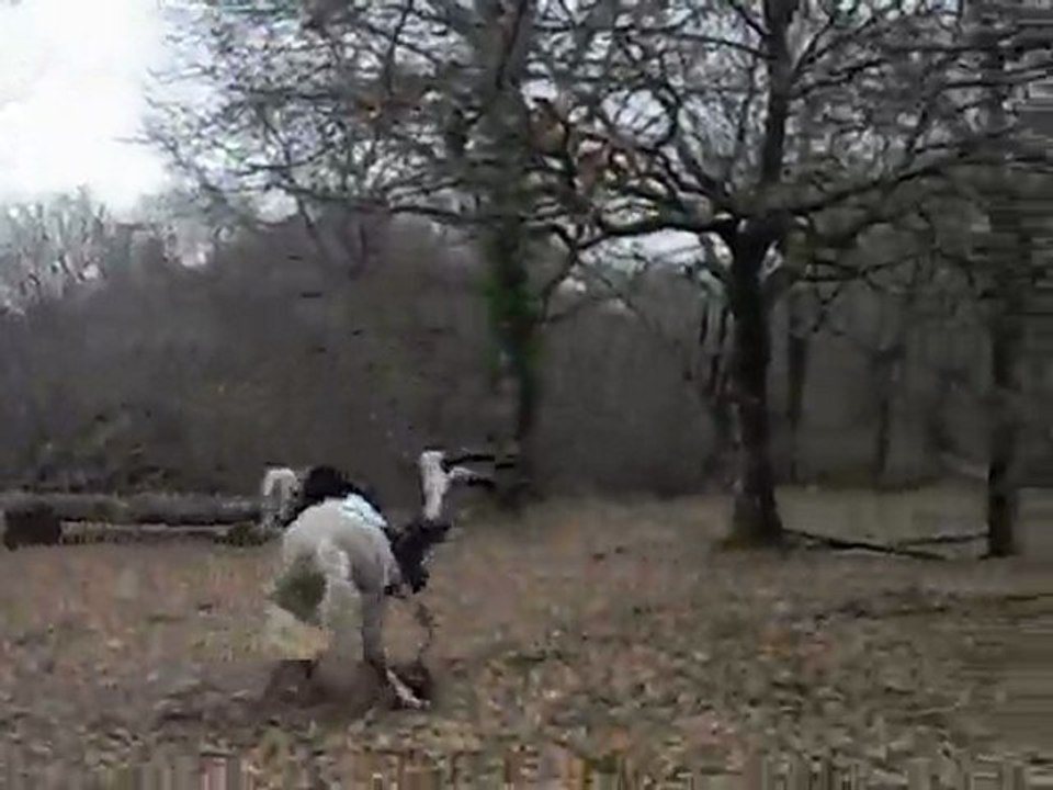 chute a cheval