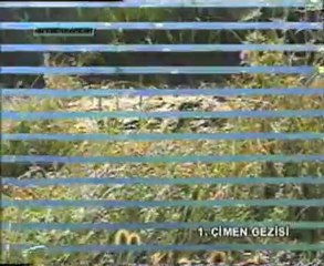 1.Çimen-Bölüm 4