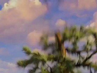 Dragons (3D) - Trailer / bande-annonce #2 HQ [VO]