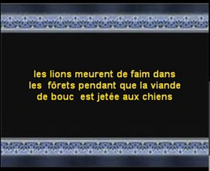 Kishk "Le sheikh Al-awdan"