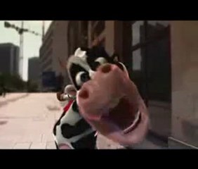 Crazy Cow