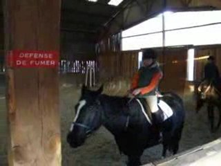 leçon d'equitation