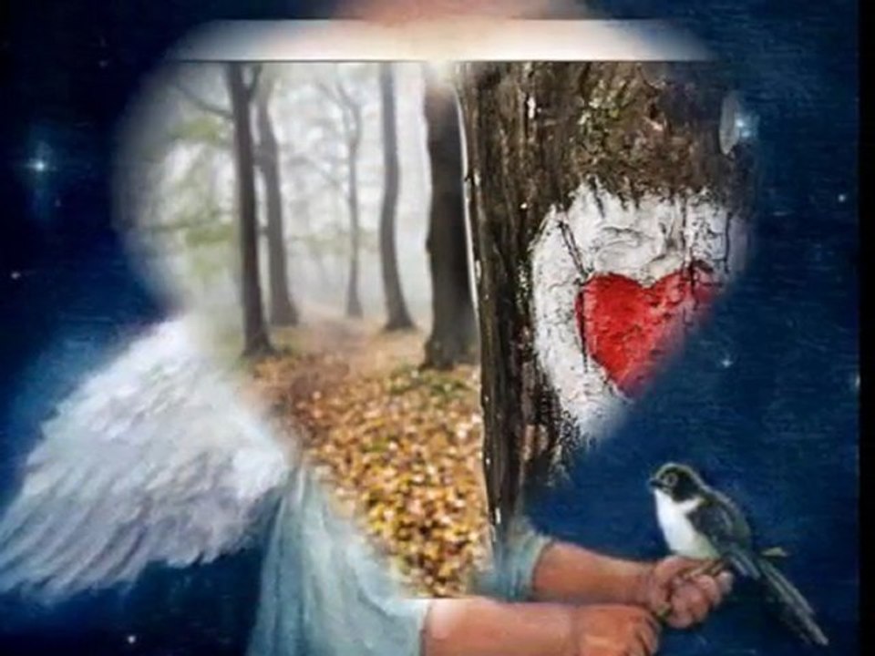 R.I.P Goran