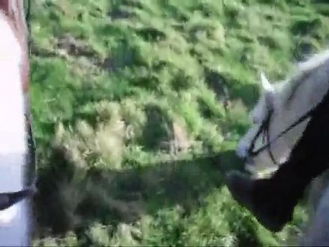 Journée merveilleuse avec Quercy (L)