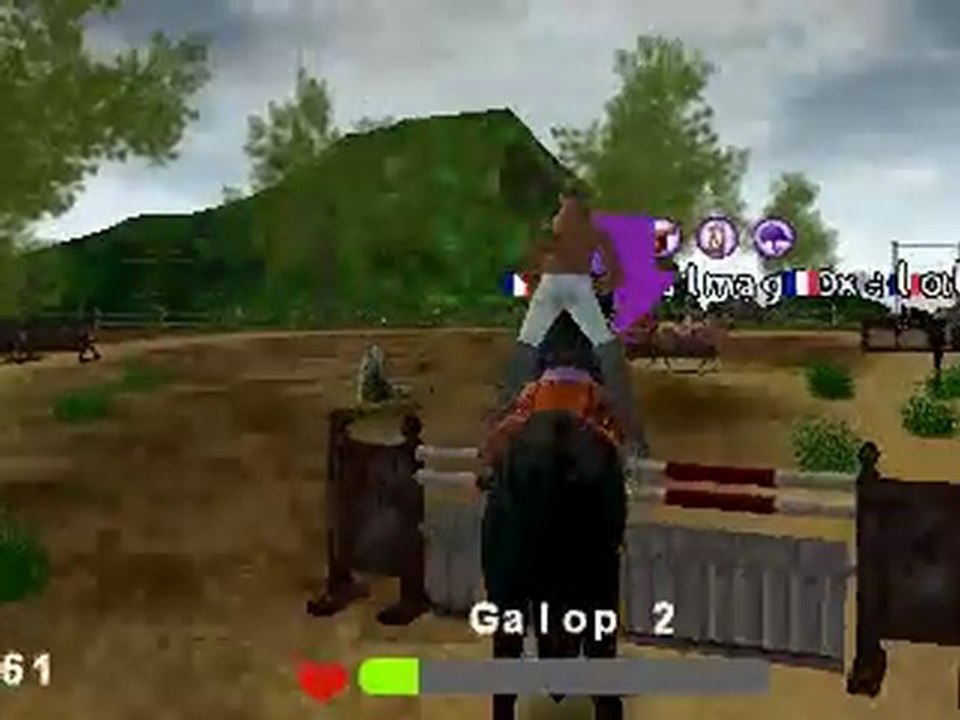 Je présente mes Chevaux + ...