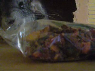 Noël de Lilou et Quicky :)