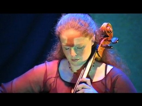 Les Meetings Aériens (live)