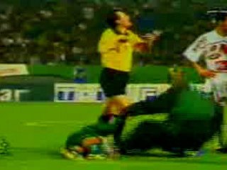 Pas de panique les secours arrive , un peu vite