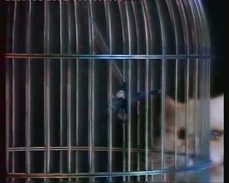 TF1 26 Janvier 1992 pubs - ciné dimanche