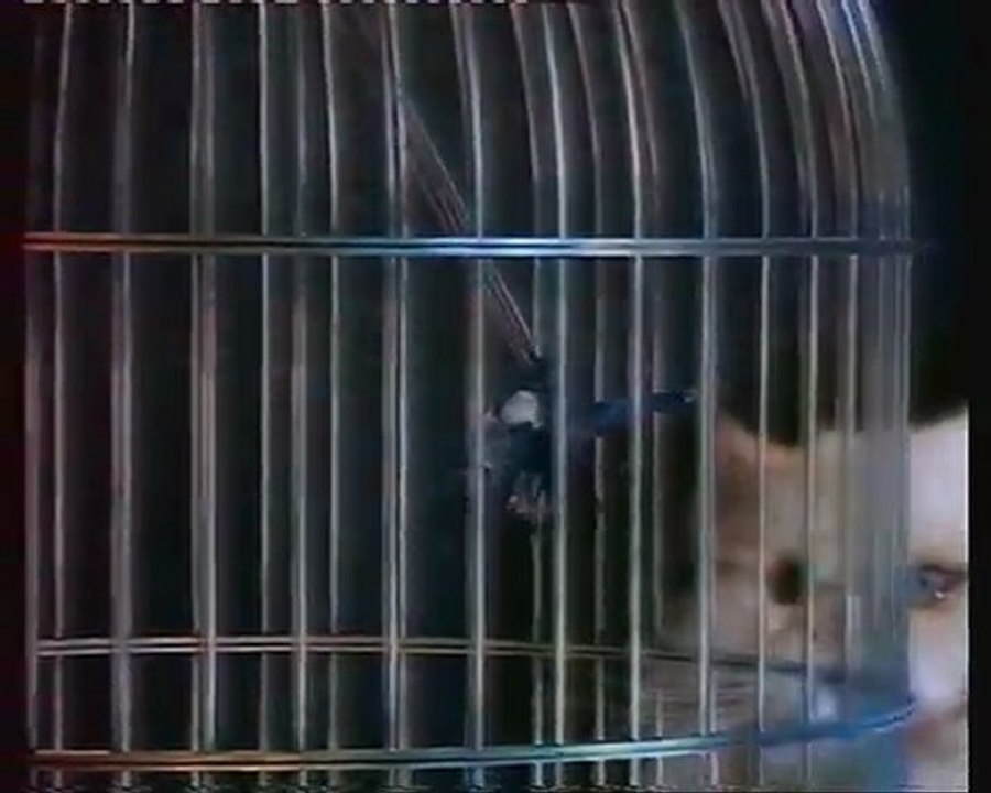 TF1 26 Janvier 1992 pubs - ciné dimanche