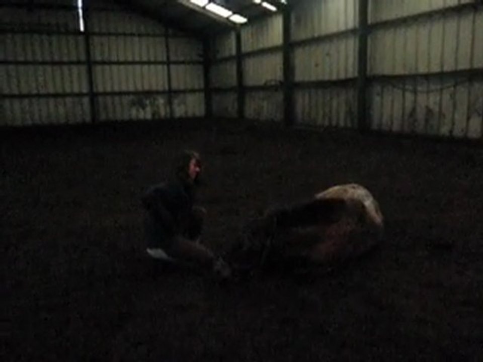 Sucette se couche sur demande (2)