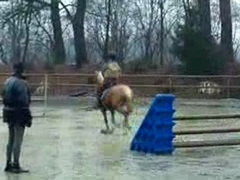 Stage Ignès avec Franck ABOAB (obstacle et dressage )