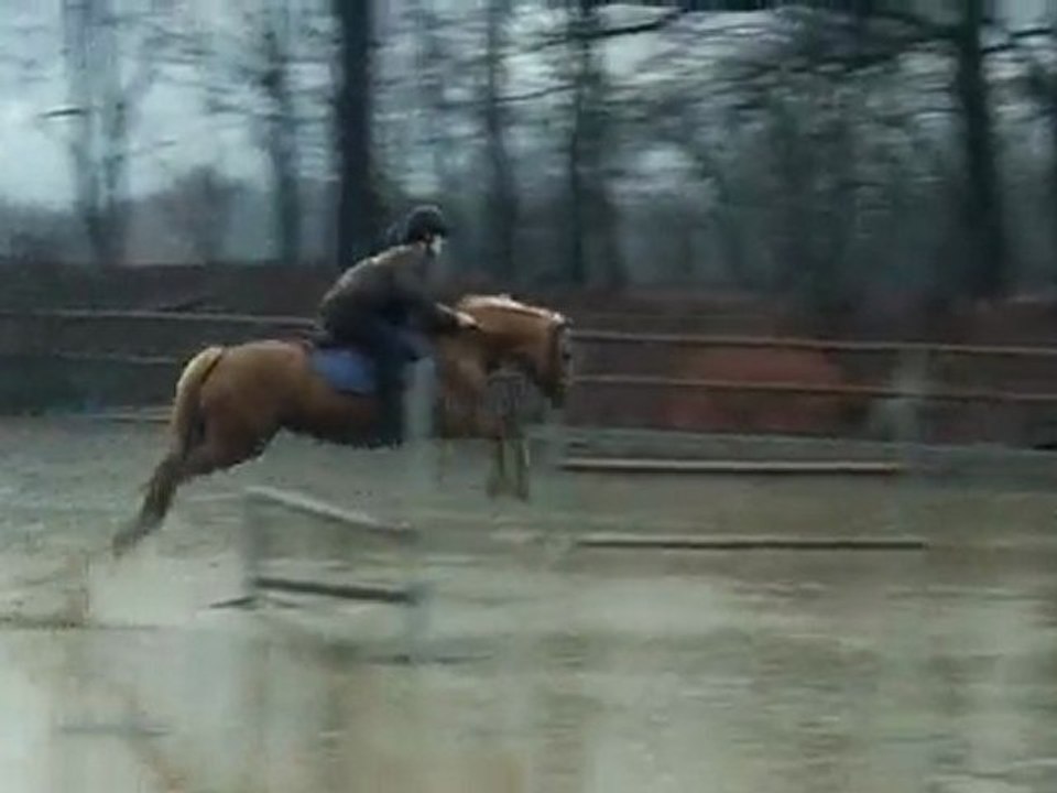 stage ignes franck ABOAB