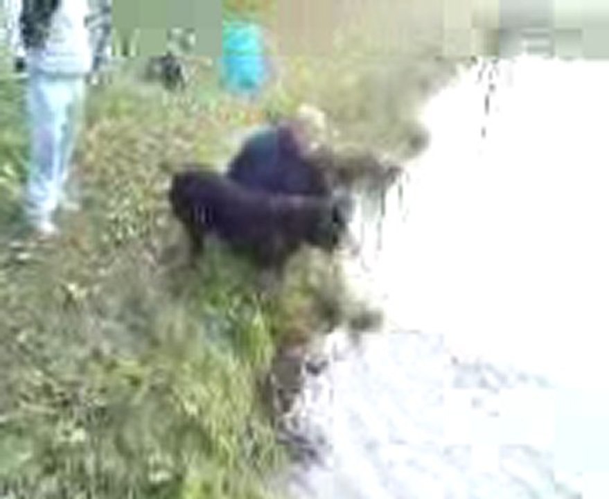 MOV00096