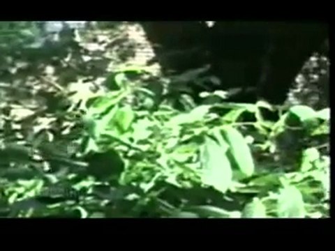 Ishq Mujh Ko Nahin FROM DRAMA SERIAL ASAD ULLAH KHAN GHALIB)