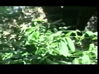 Ishq Mujh Ko Nahin FROM DRAMA SERIAL ASAD ULLAH KHAN GHALIB)