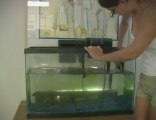 Aquarium tanks Visiting The Aquarium During Rhodes Holidays
