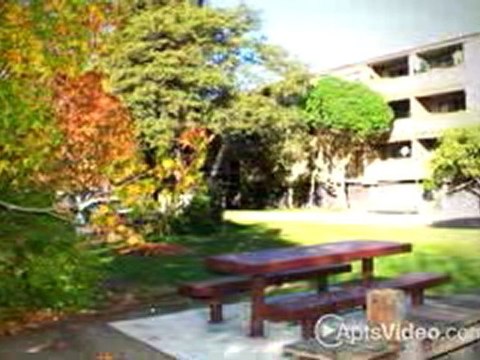 Point Alameda Apartments in Alameda, CA-ForRent.com